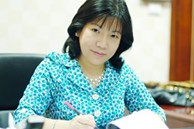 Nguyễn Thị Thanh Nhàn AIC bị tuyên án vắng mặt 30 năm tù, cựu bí thư Đồng Nai 11 năm tù