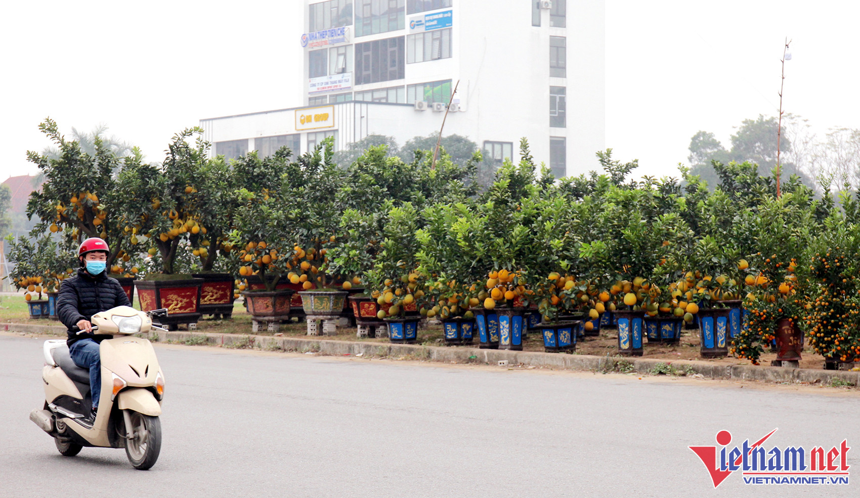 Hoa, cây cảnh chơi Tết tràn xuống phố, thương lái thấp thỏm chờ khách-1