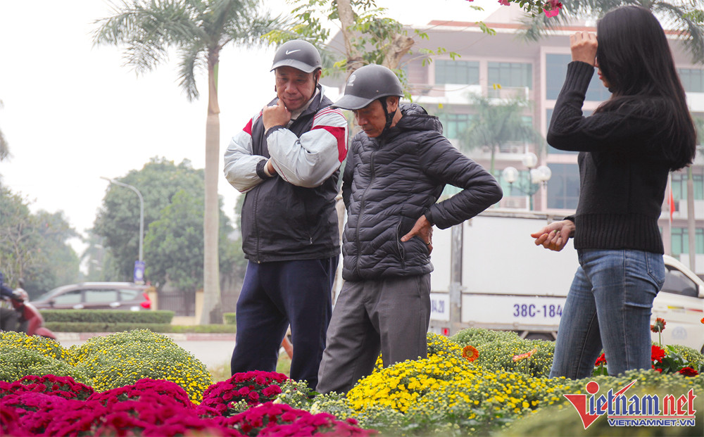 Hoa, cây cảnh chơi Tết tràn xuống phố, thương lái thấp thỏm chờ khách-2