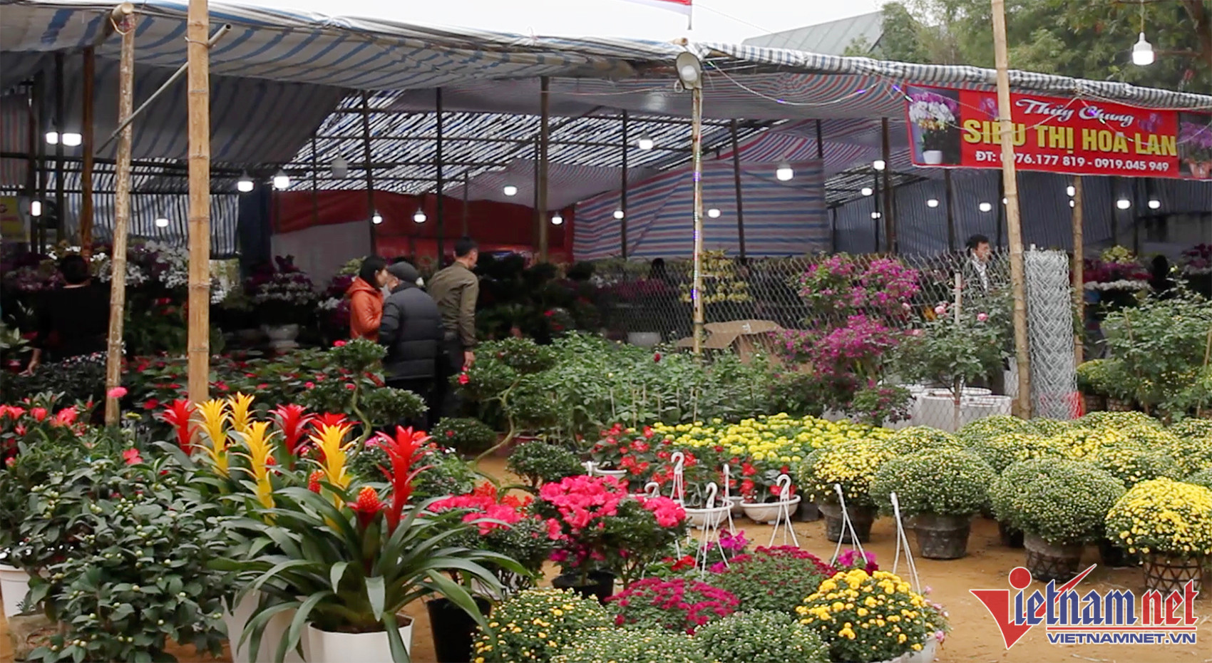 Hoa, cây cảnh chơi Tết tràn xuống phố, thương lái thấp thỏm chờ khách-3