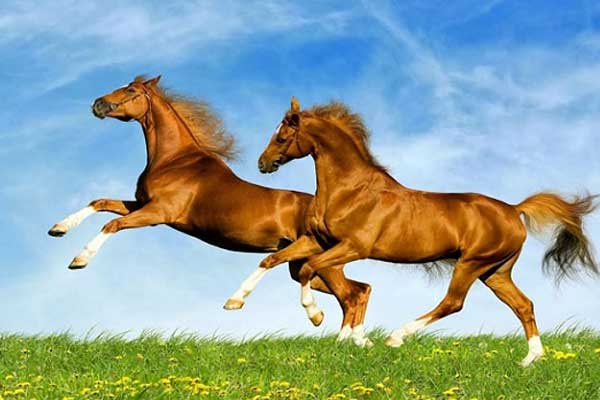 Người xưa dạy: Đàn ông có 1 trong 3 nét tướng này thì đen đủi đủ đường, cả đời lầm than, túng thiếu-4