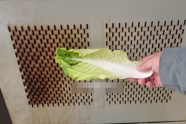 Rã đông bằng nồi chiên không dầu theo 3 bước này, thực phẩm nhanh mềm mà không bị mất chất-7