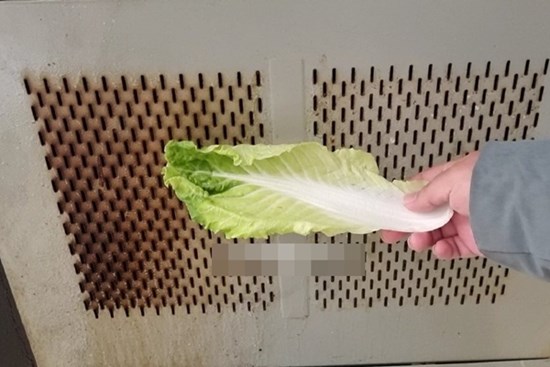 Máy hút mùi cả năm không lau, chỉ cần một lá cải thảo là máy sẽ như mới ngay mà không cần phải tháo