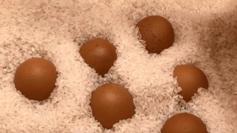 Không cần để trứng vào tủ lạnh: Làm theo cách này, trứng để cả tháng vẫn tươi ngon-3