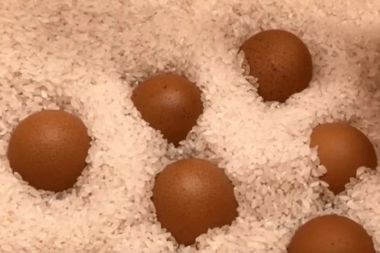 Không cần để trứng vào tủ lạnh: Làm theo cách này, trứng để cả tháng vẫn tươi ngon