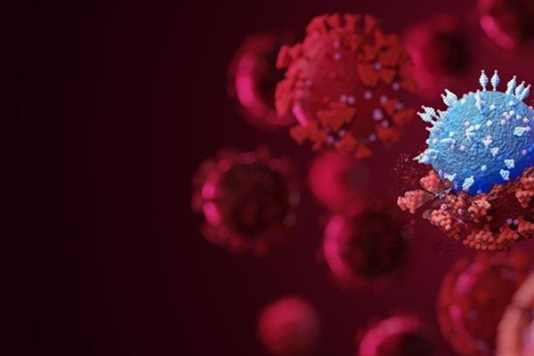 TP. Hồ Chí Minh xuất hiện biến thể phụ XBB của Omicron-1