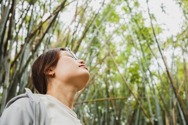 Phổi giúp chúng ta sống sót, hàng ngày cần làm được 5 việc để giải độc phổi tốt nhất-2