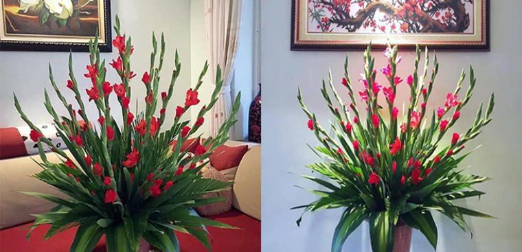 Thêm một thìa này vào bình cắm hoa, dù chơi hết Tết hoa vẫn tươi rực rỡ, chẳng bị úa tàn-3