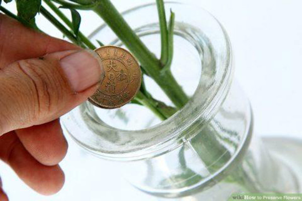 Thêm một thìa này vào bình cắm hoa, dù chơi hết Tết hoa vẫn tươi rực rỡ, chẳng bị úa tàn-7