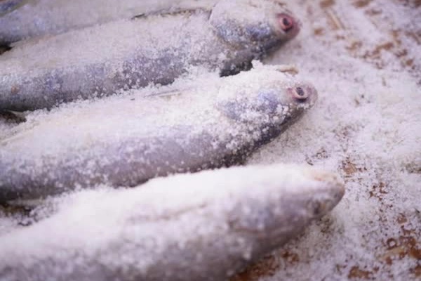 3 loại cá ít dinh dưỡng nhưng nhiều chất độc mà có thể bạn đang ăn chúng mỗi ngày-2