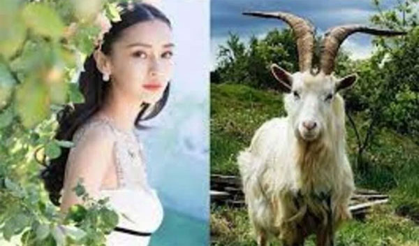 Đúng Rằm tháng Chạp, 3 con giáp hốt trọn lộc trời vào nhà, làm đâu trúng đó, đón Tết linh đình-2