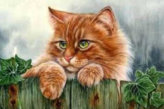 Ngọc Hoàng chỉ đích danh, 4 tuổi không thành tỷ phú cũng là đại gia, dễ xây nhà sắm xe năm 2023