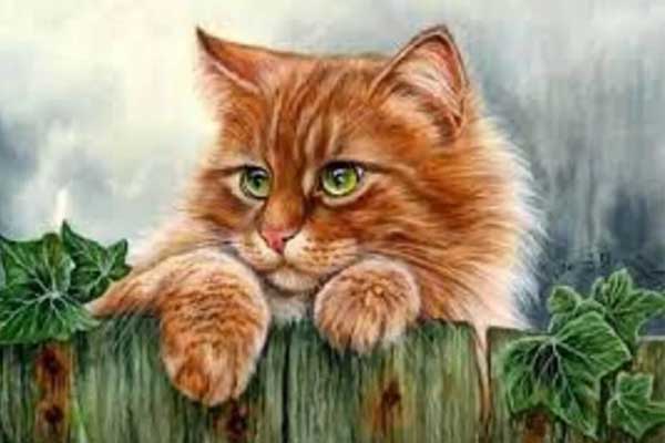 Ngọc Hoàng chỉ đích danh, 4 tuổi không thành tỷ phú cũng là đại gia, dễ xây nhà sắm xe năm 2023-2