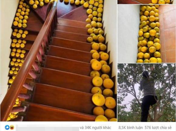 Loạt ảnh sắm bưởi ăn Tết nhận bão like, dân mạng thích thú vì khung cảnh quá quen thuộc-1