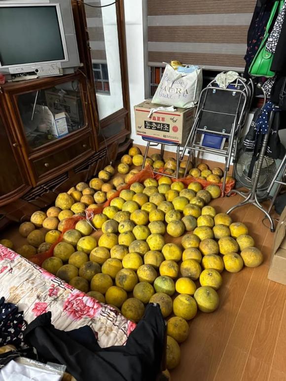 Loạt ảnh sắm bưởi ăn Tết nhận bão like, dân mạng thích thú vì khung cảnh quá quen thuộc-9