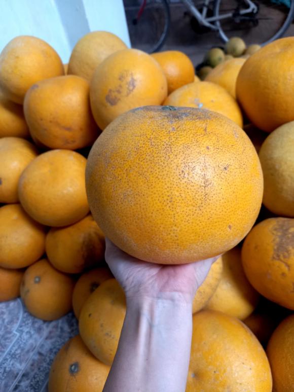 Loạt ảnh sắm bưởi ăn Tết nhận bão like, dân mạng thích thú vì khung cảnh quá quen thuộc-10