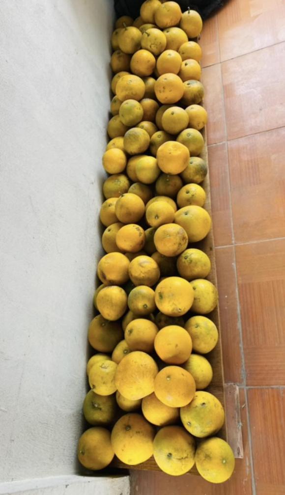 Loạt ảnh sắm bưởi ăn Tết nhận bão like, dân mạng thích thú vì khung cảnh quá quen thuộc-4