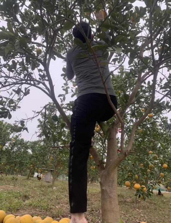 Loạt ảnh sắm bưởi ăn Tết nhận bão like, dân mạng thích thú vì khung cảnh quá quen thuộc-5