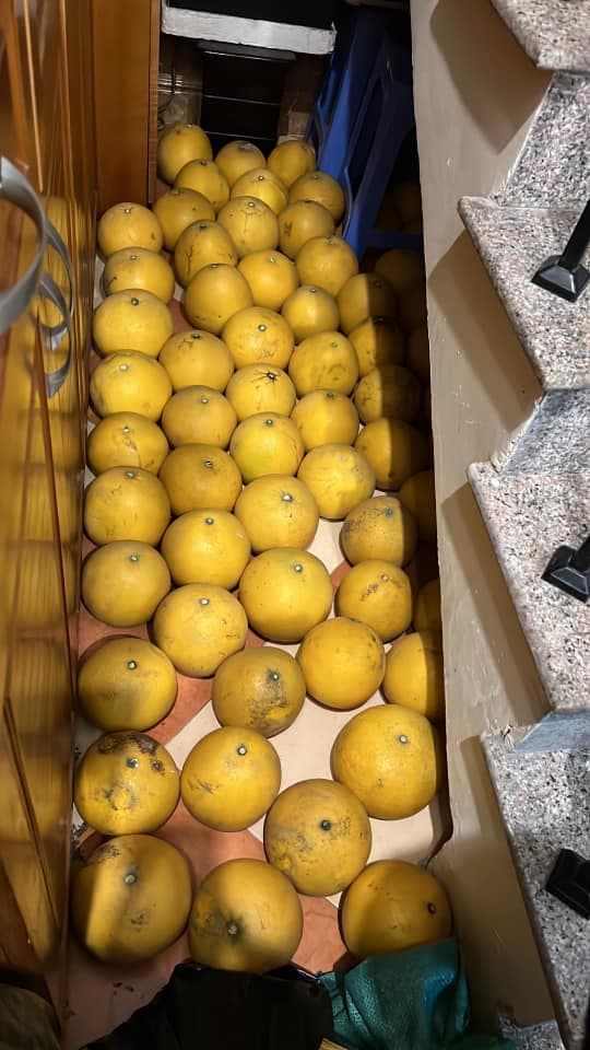 Loạt ảnh sắm bưởi ăn Tết nhận bão like, dân mạng thích thú vì khung cảnh quá quen thuộc-6