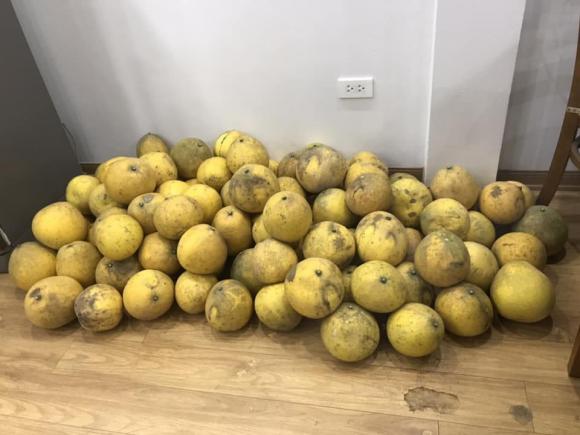 Loạt ảnh sắm bưởi ăn Tết nhận bão like, dân mạng thích thú vì khung cảnh quá quen thuộc-8