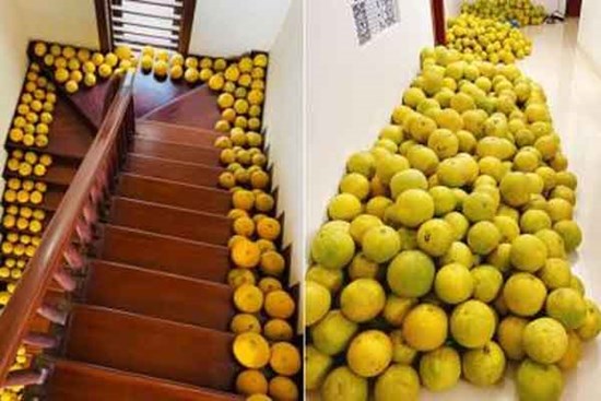 Loạt ảnh 'sắm bưởi ăn Tết' nhận 'bão like', dân mạng thích thú vì khung cảnh quá quen thuộc