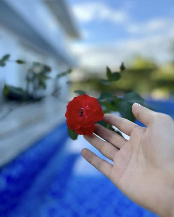 Mỹ Tâm nhá hàng biệt thự nhà vườn y hệt khu du lịch sinh thái, nhìn thôi cũng đủ hiểu đắt đỏ cỡ nào-3