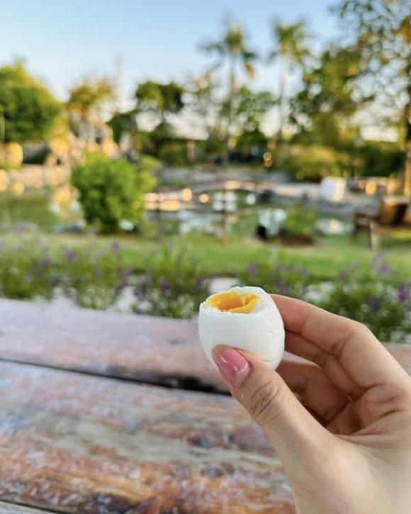 Mỹ Tâm nhá hàng biệt thự nhà vườn y hệt khu du lịch sinh thái, nhìn thôi cũng đủ hiểu đắt đỏ cỡ nào-4