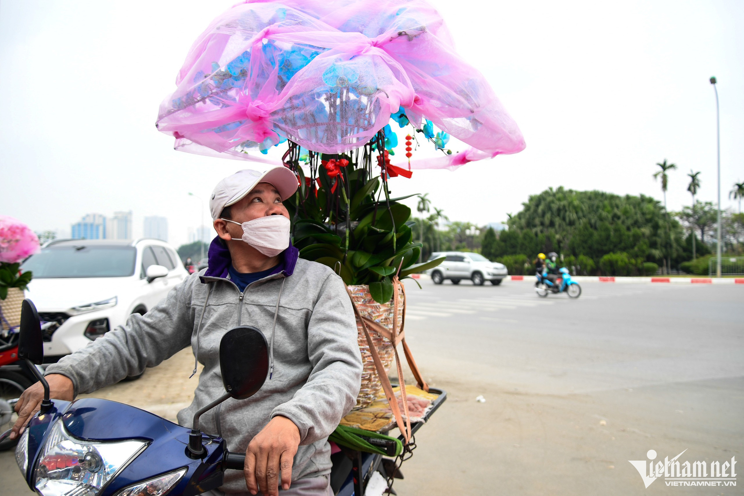 Chậu lan phú quý 3.686 cành giá hơn 1,6 tỷ đồng ở Hà Nội-10