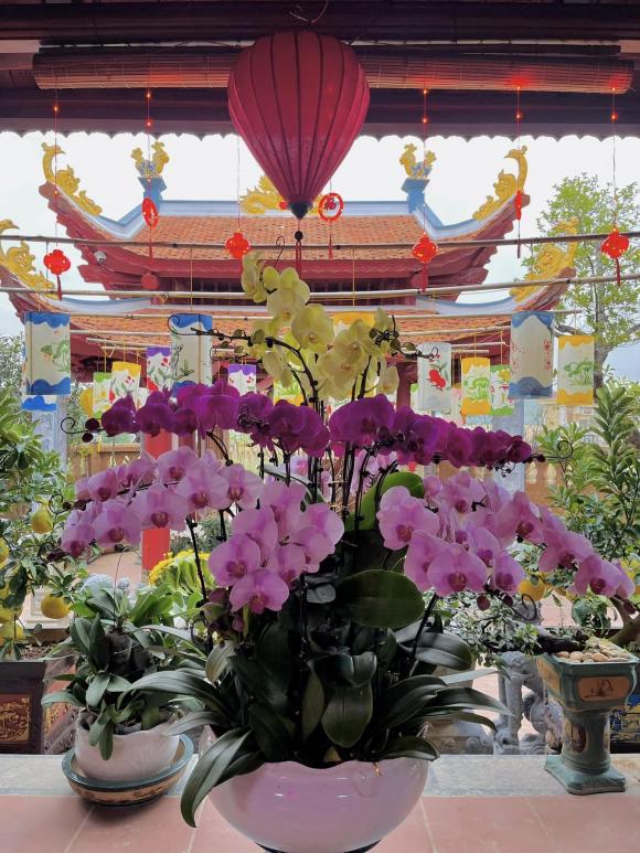 Việt phủ dát vàng của Vượng Râu ở Nam Định trang hoàng lộng lẫy, ngập sắc hoa đón Tết-1