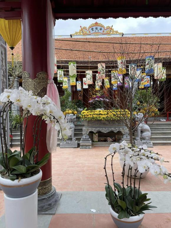 Việt phủ dát vàng của Vượng Râu ở Nam Định trang hoàng lộng lẫy, ngập sắc hoa đón Tết-3