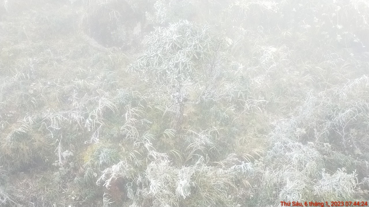 Băng giá phủ trắng xóa, đỉnh Fansipan đẹp lạ lùng-2