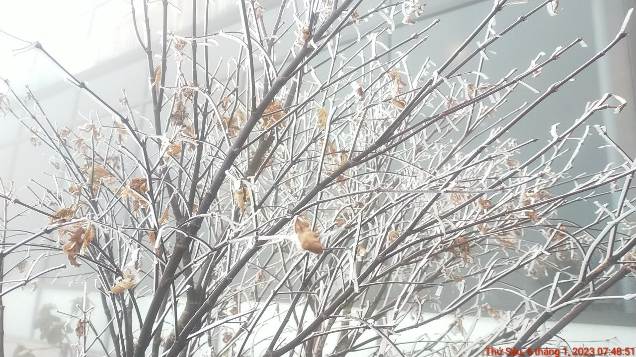 Băng giá phủ trắng xóa, đỉnh Fansipan đẹp lạ lùng-3