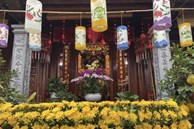 Việt phủ dát vàng của Vượng Râu ở Nam Định trang hoàng lộng lẫy, ngập sắc hoa đón Tết