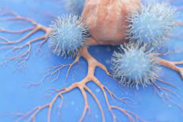 Vaccine ung thư mới khiến tế bào ung thư tiêu diệt chính gia đình mình-1