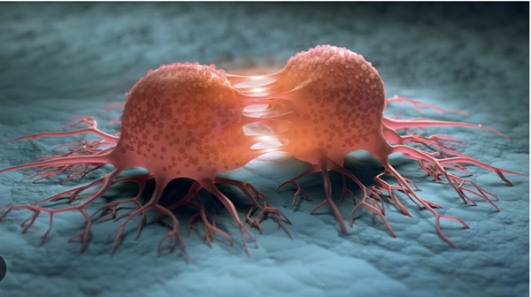 Vaccine ung thư mới khiến tế bào ung thư tiêu diệt chính gia đình mình-2