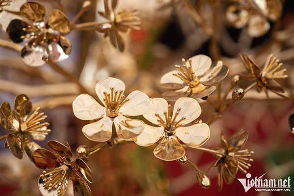 Cây mai mạ vàng 24k giá rao bán gần 6 tỷ đồng ở Hà Nội-3