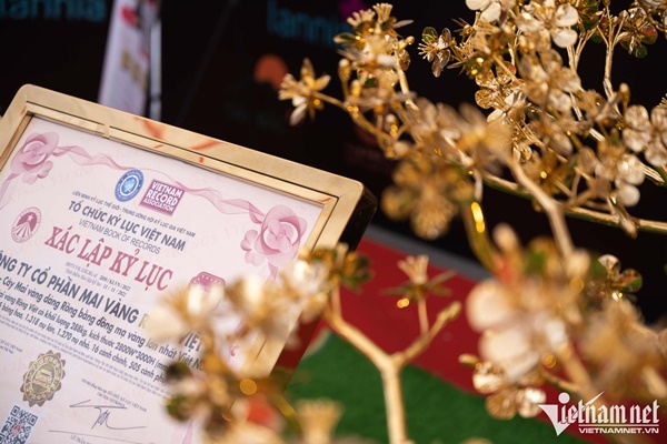 Cây mai mạ vàng 24k giá rao bán gần 6 tỷ đồng ở Hà Nội-4