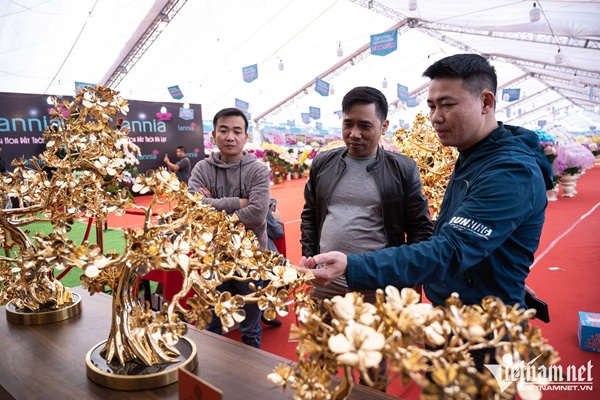 Cây mai mạ vàng 24k giá rao bán gần 6 tỷ đồng ở Hà Nội-6