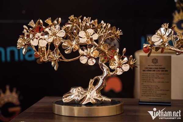 Cây mai mạ vàng 24k giá rao bán gần 6 tỷ đồng ở Hà Nội-7