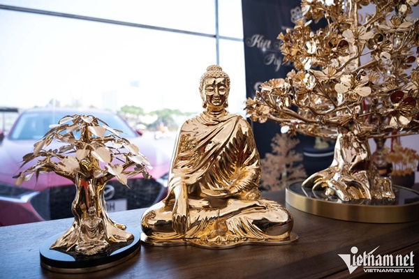 Cây mai mạ vàng 24k giá rao bán gần 6 tỷ đồng ở Hà Nội-8