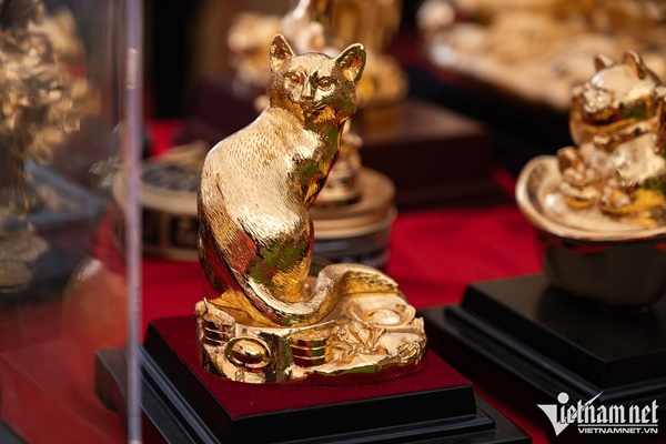 Cây mai mạ vàng 24k giá rao bán gần 6 tỷ đồng ở Hà Nội-9