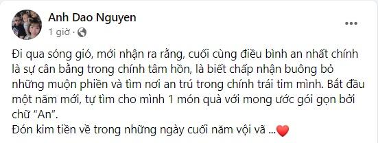 Nỗi lòng vợ Hồng Đăng đầu năm mới-3