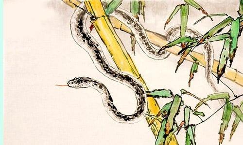 3 tuổi hết Tam Tai giàu có 3 năm tới, 1 tuổi xui tận mạng-2
