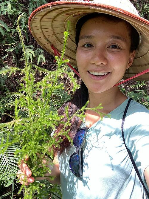 Cựu MC VTV khoe vườn rau tự trồng, cảnh tỉnh những ai muốn bỏ phố về rừng”-4