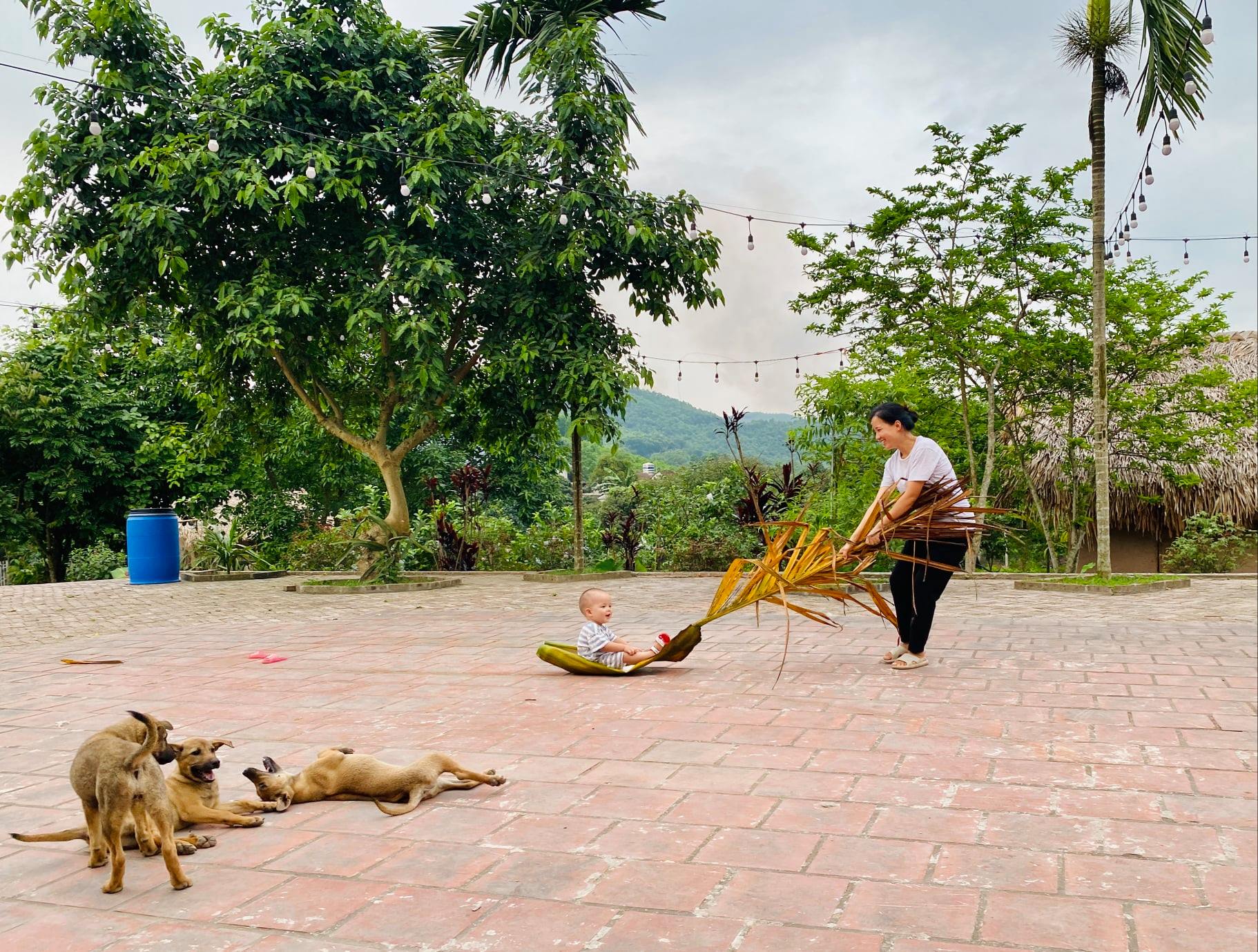 Cựu MC VTV khoe vườn rau tự trồng, cảnh tỉnh những ai muốn bỏ phố về rừng”-11