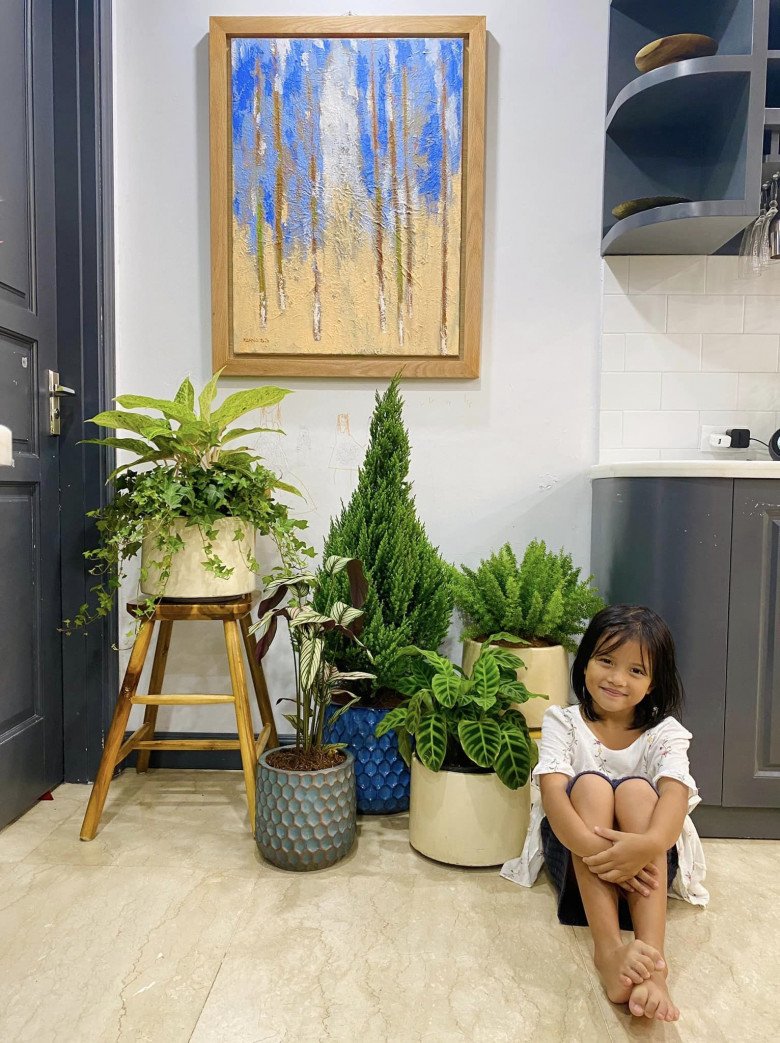 Cựu MC VTV khoe vườn rau tự trồng, cảnh tỉnh những ai muốn bỏ phố về rừng”-13