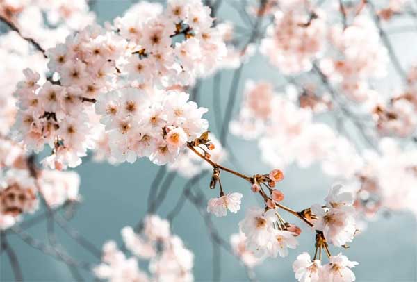 Giờ sinh của người được hưởng lộc trời ban, quý nhân phù trợ, tương lai tỏa sáng-2