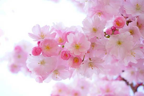 Giờ sinh của người được hưởng lộc trời ban, quý nhân phù trợ, tương lai tỏa sáng-3