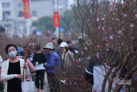 Kế hoạch cho giây phút vẹn toàn ngày giáp Tết