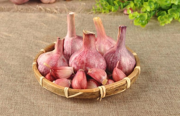 Ăn tỏi rất tốt nhưng đừng dại kết hợp cùng 6 thứ này kẻo hóa thuốc độc-3